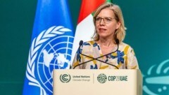 Großzügige grüne Umweltministerin Gewessler in Dubai. (Bild: EPA)