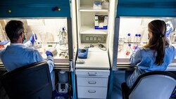 Der Chikungunya-Impfstoff von Valneva ist in den USA gestoppt worden (Archivbild aus der ...