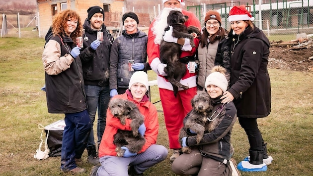 Ehrenamtliche Hilfe für die Vierbeiner gab es Studenten der Veterinärmedizinischen Universität. (Bild: Natalie Codrelli)