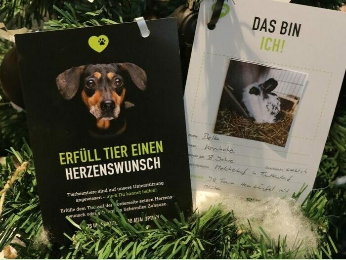 Auch Kaninchen haben Wünsche.