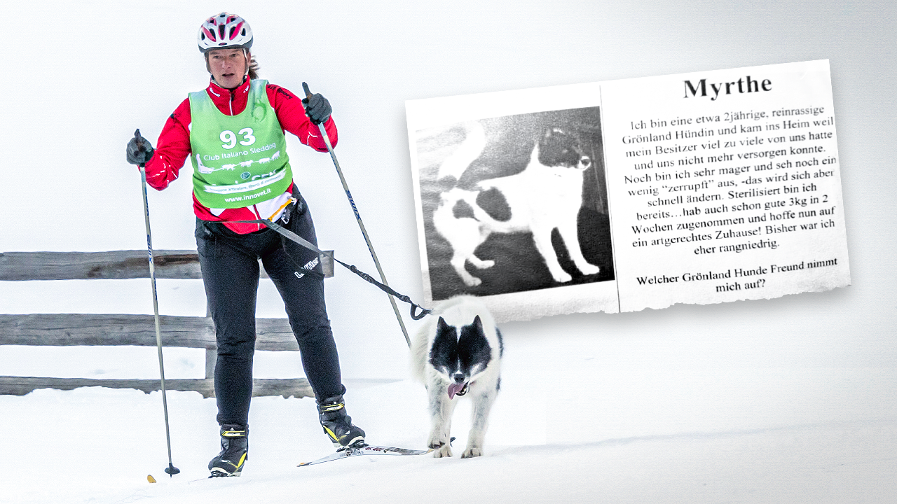 Barbara Iserhardt wurde gemeinsam mit ihrer Hündin „Idita“ Europameisterin im Skijöring. (Bild: Barbara Iserhardt, Krone KREATIV)