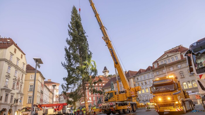 Die Fichte aus Altaussee steht seit 5. November am Hauptplatz.