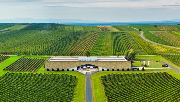 Das Weingut Eichenwald in Horitschon (Bild: Eichenwald Weine)