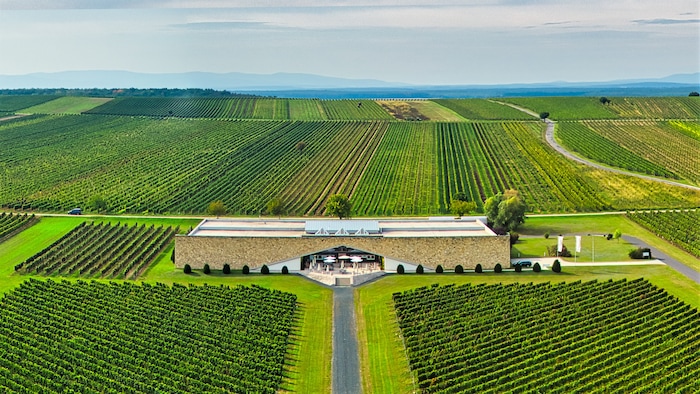 Das Weingut Eichenwald in Horitschon