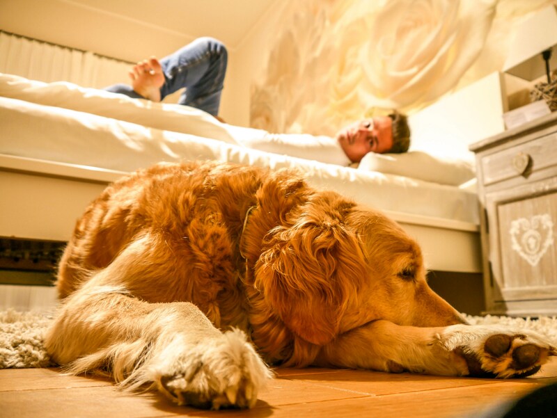 (Bild: ean Van Luelik Photographer)