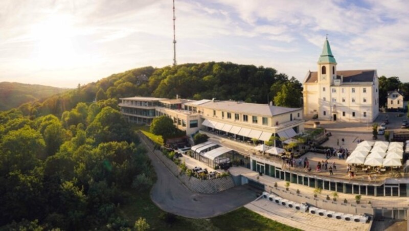 Gibt schlechtere Arbeitsplätze: die Wiener Modul University am Kahlenberg (Bild: Igor Pogany / OTS)