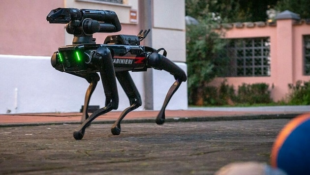 Bei den italienischen Carabinieri ist jetzt der erste Roboterhund (Bild) im Einsatz. (Bild: Arma dei Carabinieri)