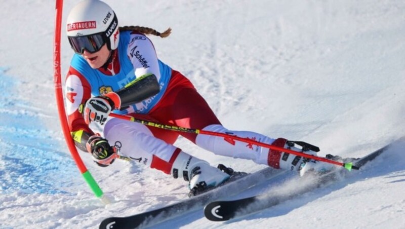 Grill ist am Weg zurück, zeigt bisher aber auf. (Bild: GEPA pictures/ Thomas Bachun)