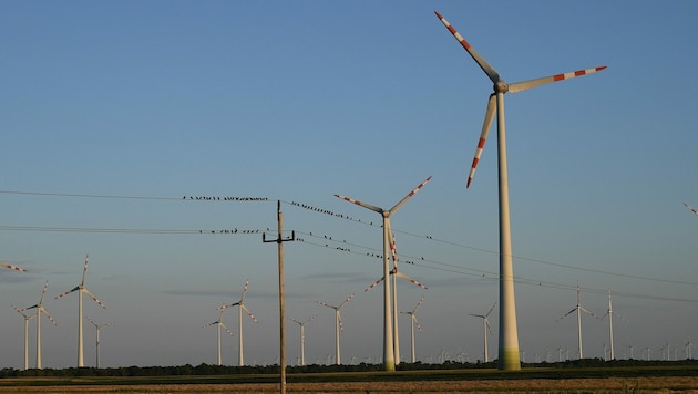 Windenergie ist auf dem Vormarsch - auch die Energie AG geht in die Offensive. (Bild: Patrick Huber)