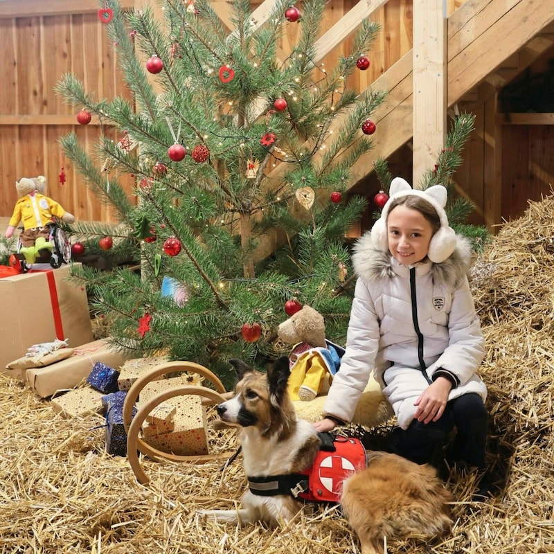 Die Tiere am Lichtblickhof verhelfen Stella zur Lebensfreude. (Bild: Zwefo)