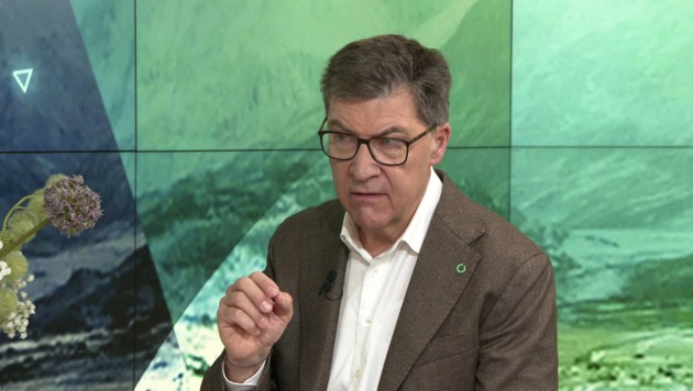 Dr. Andreas Krauter von der Österreichischen Gesundheitskasse (Bild: krone.tv)