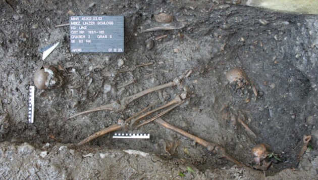 Zahlreiche menschliche Knochen kam bei den Arbeiten zum Vorschein (Bild: APA/ARDIS)