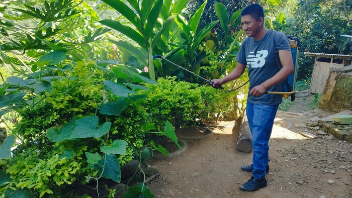 Der Wurm-Urin eignet sich hervorragend als Spritzdüngemittel