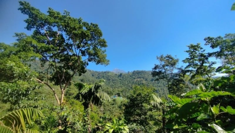 Mittn im Hochland von Quetzaltenango (Bild: Robert Fröwein)