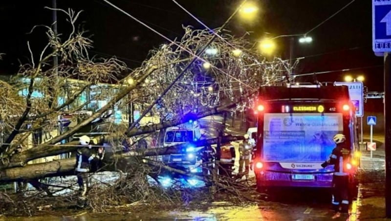 Ein Baum stürzte in Salzburg auf einen Linienbus. (Bild: Markus Tschepp)