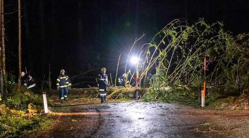 Viele umgestürzte Bäume forderten die Einsatzkräfte, wie hier auf der Straße zwischen Schalchen und Pischelsdorf. (Bild: Manfred Fesl)