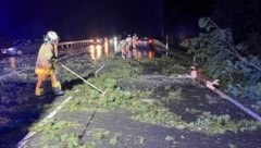 Die Feuerwehr Thalgau räumten einen Baum, der die Straße blockierte. (Bild: Freiwillige Feuerwehr Thalgau)