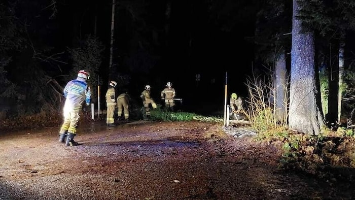 Die Floriani entfernten die Bäume mittels Motorsäge.