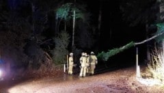 Ein Dutzend geknickte Bäume, viel mehr war es nicht, das „Charly“ angerichtet hat. Oberösterreich kam also gut durch die Sturmnacht (Symbolbild) (Bild: Freiwillige Feuerwehr Thalgau)