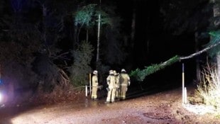 Ein Dutzend geknickte Bäume, viel mehr war es nicht, das „Charly“ angerichtet hat. Oberösterreich kam also gut durch die Sturmnacht (Symbolbild) (Bild: Freiwillige Feuerwehr Thalgau)