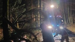 Wie in der Nacht auf Freitag kann es auch am Wochenende zu umstürzenden Bäumen kommen. (Bild: Freiwillige Feuerwehr Thalgau)
