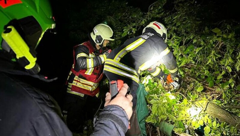 (Bild: APA/FEUERWEHR KLOSTERNEUBURG)