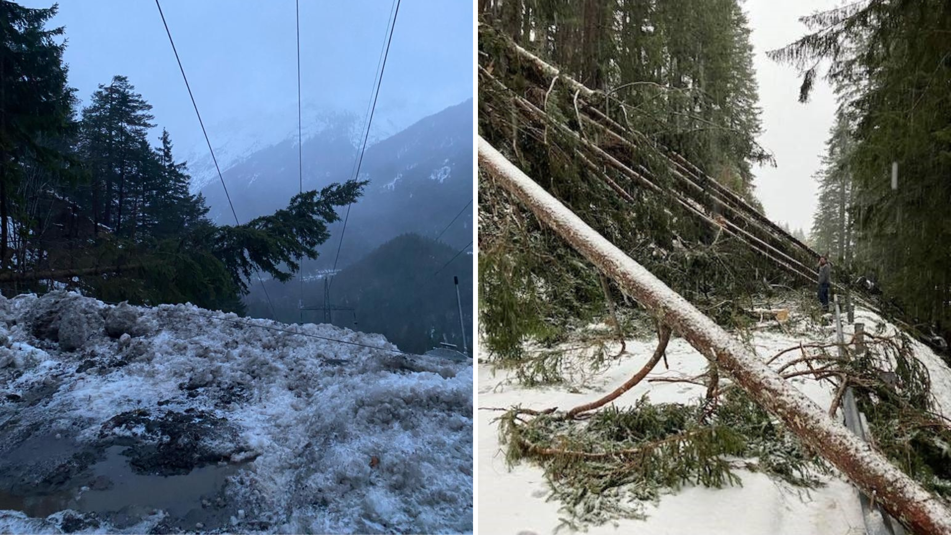 Baumstürze sorgten für Stromausfälle in einigen Tiroler Gemeinden, drei Orte waren am Freitagnachmittag von der Außenwelt abgeschnitten. (Bild: TINETZ, Land Tirol)