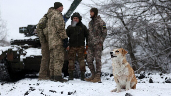 Ukrainische Soldaten und ein Hund im Dezember in der Nähe von Bachmut