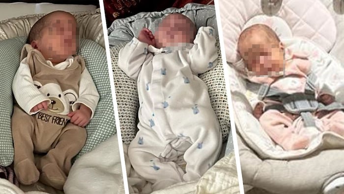 Die drei Babys, als sie bereits bei ihrer Mutter zu Hause waren.