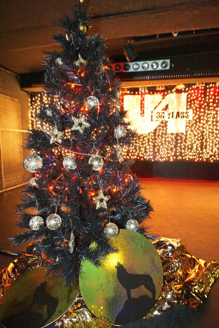 Immer öfter gehen die Wiener auch zu Weihnachten aus.
