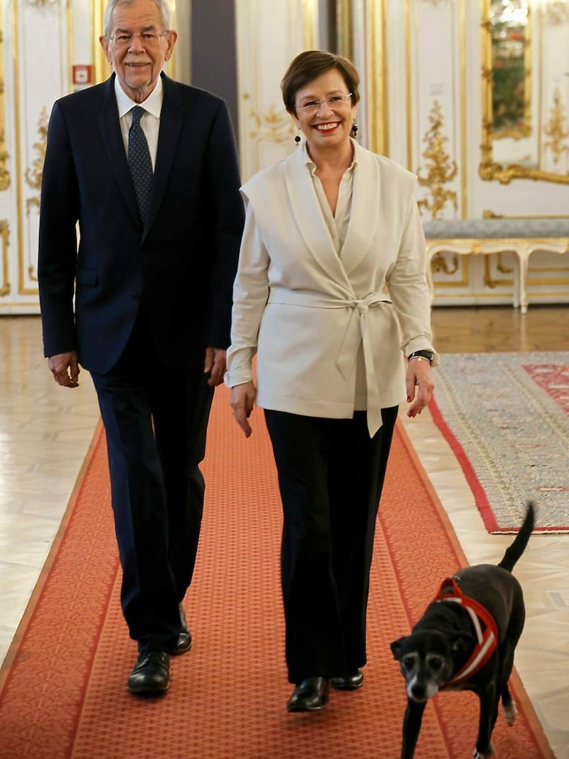 Das „First Couple“ mit Juli, dem „First Dog“, beim „Krone“-Weihnachtsinterview in der Hofburg (Bild: Reinhard Holl)