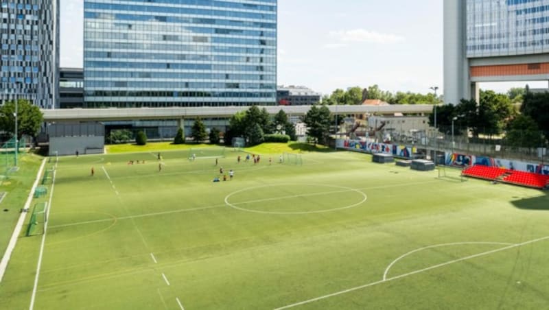 Bei traumhaften Bedingungen im Sportcenter Donaucity ging der Showcase über die Bühne. (Bild: zVg.)