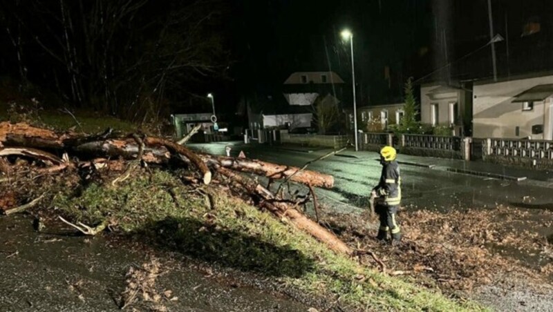 Einsatz in Waidhofen/Thaya (Bild: www.ffwaidhofen.at (Feuerwehr Waidhofen/Thaya).)