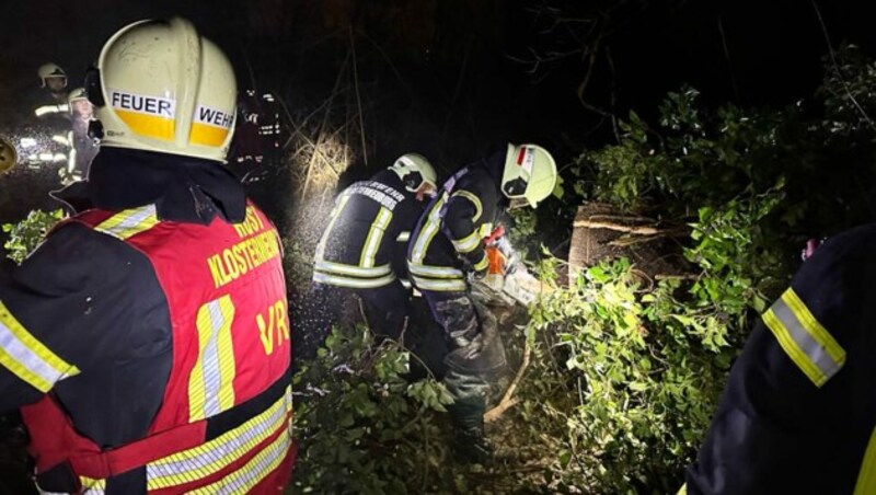 Die Feuerwehren sind im Dauereinsatz. (Bild: APA/FEUERWEHR KLOSTERNEUBURG)