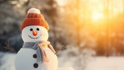 Zum Jahreswechsel ist es auch viel zu warm - Schneemänner sind in Oberösterreich eine „aussterbende Art“. (Bild: Ekaterina Pokrovsky - stock.adobe.com)
