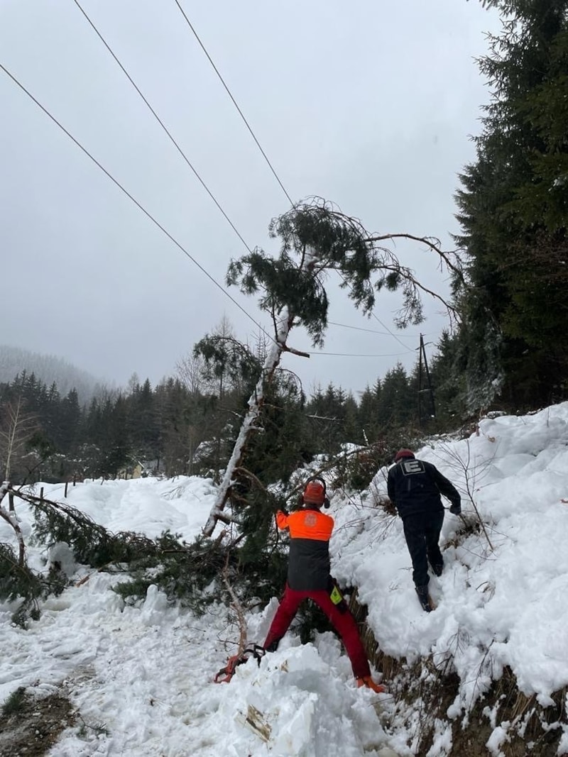 100 Monteure der Energie Steiermark stehen seit den Morgenstunden im Einsatz, um die Stromversorgung wieder herzustellen. (Bild: Energie Steiermark)