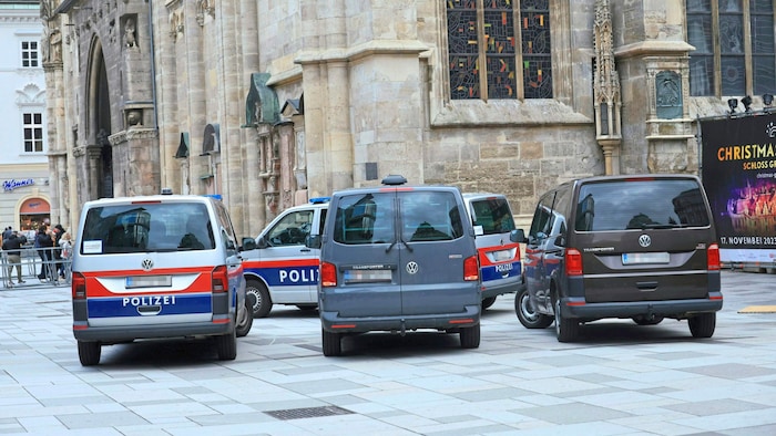Der Stephansdom war letzten Winter offenbar Terror-Anschlagsziel.