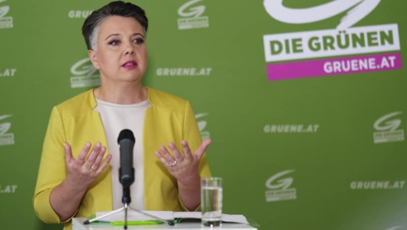 Generalsekretärin Voglauer reitet einen giftgrünen Gegenangriff auf Mikl-Leitner. (Bild: APA/EVA MANHART)