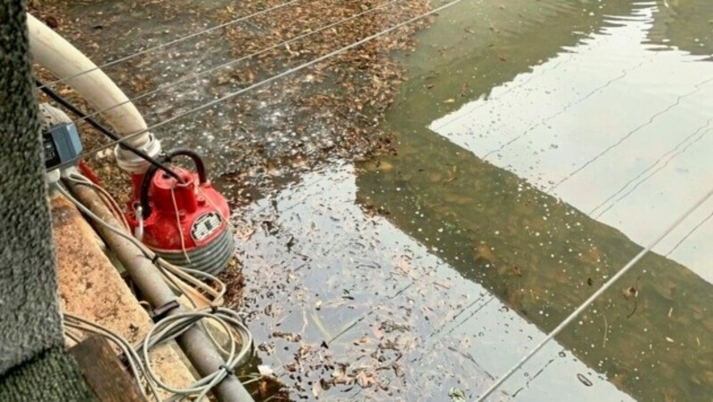 Überflutungen nach starken Niederschlägen: Tauchpumpen auf dem Schießplatz in Mattersburg saugten tausende Liter Wasser pro Minute ab. (Bild: FF Mattersburg)