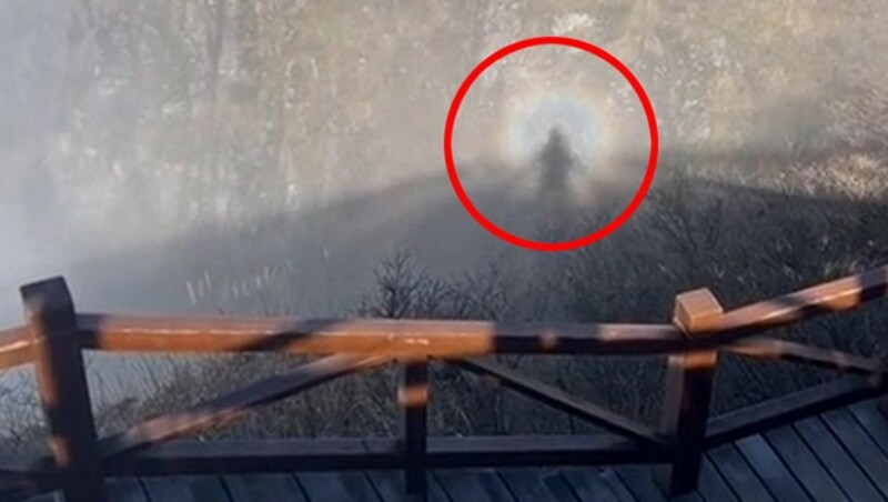 Das optische Phänomen einer Glorie entsteht durch die Rückstreuung von Licht an kugelförmigen, feinen Wassertröpfchen im Nebel oder in Wolken. (Bild: kameraOne (Screenshot), KRONE Kreativ)