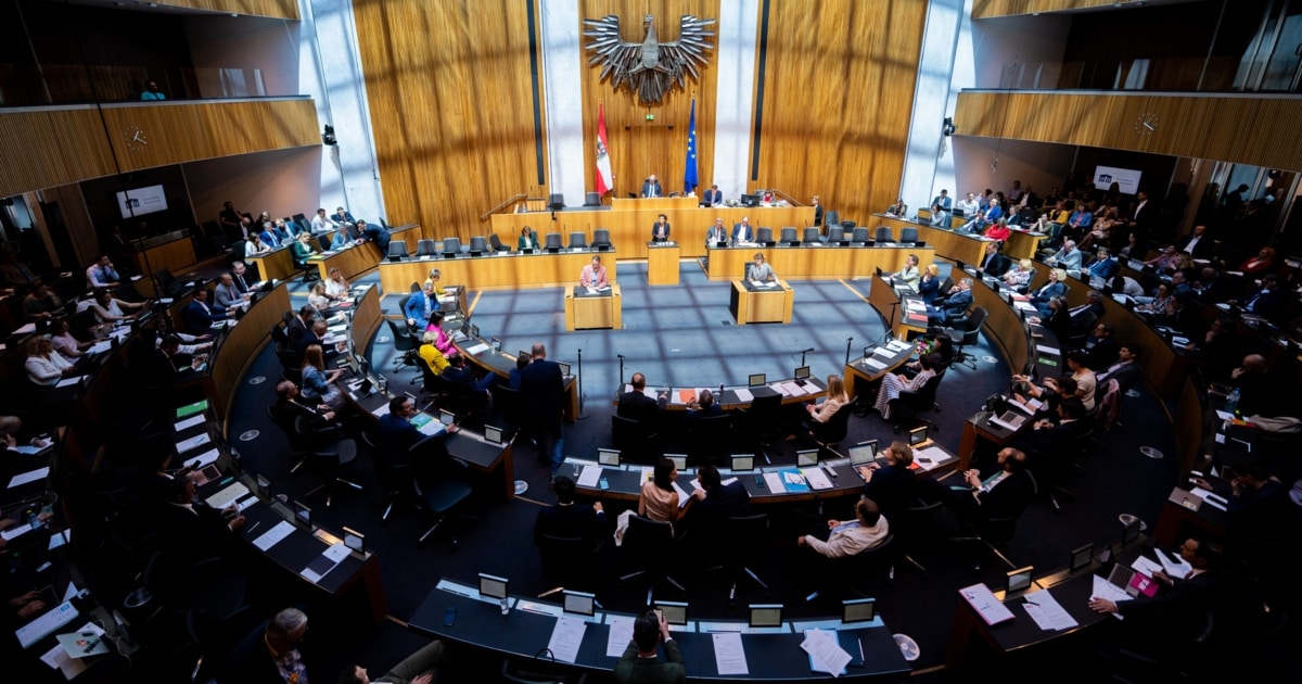 Parteienförderung Heimische Politik gönnte sich ein deutliches Plus