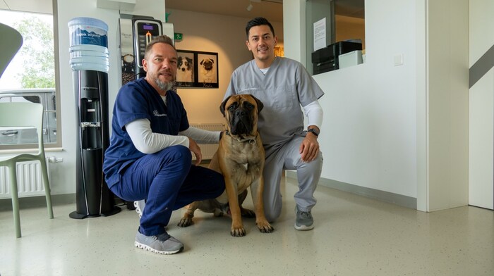 In Tierarztpraxen gibt es Präparate, mit denen man Hunde beruhigen kann. 