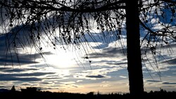 Das Wetter bleibt für die Jahreszeit weiterhin zu mild. Für den Silvestertag werden bei Föhn bis zu zwölf Grad erwartet. (Bild: APA/Barbara Gindl)