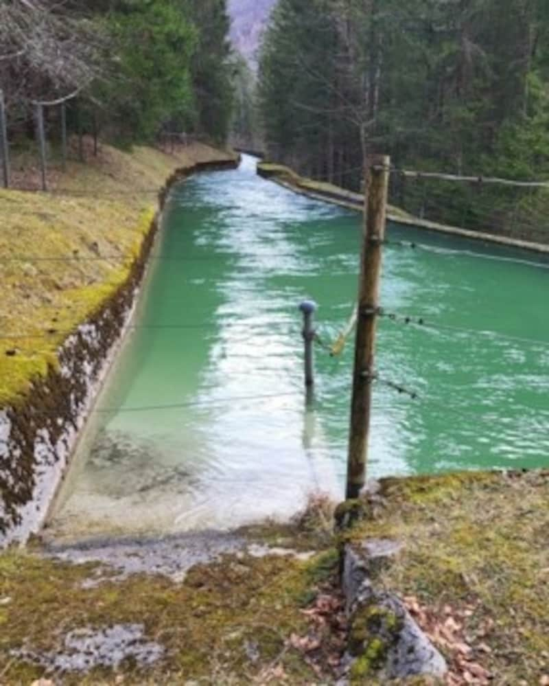 (Bild: Wasserrettung Ebensee)