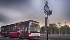 Ein Bus der Wiener Linien (Bild: Johannes Zinner/Wiener Linien)