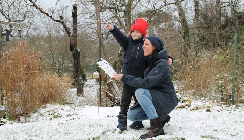 Um mitzumachen, muss man kein Ornithologe sein: Mit guter Literatur sowie speziellen Bestimmungskarten wird auch heuer wieder der Vogelbestand eruiert. (Bild: BirdLife Österreich)