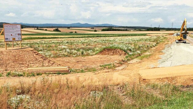 Bereits vor Monaten sind die ersten Bagger aufgefahren und haben mit den Arbeiten für den Businesspark begonnen. (Bild: Reinhard Judt)