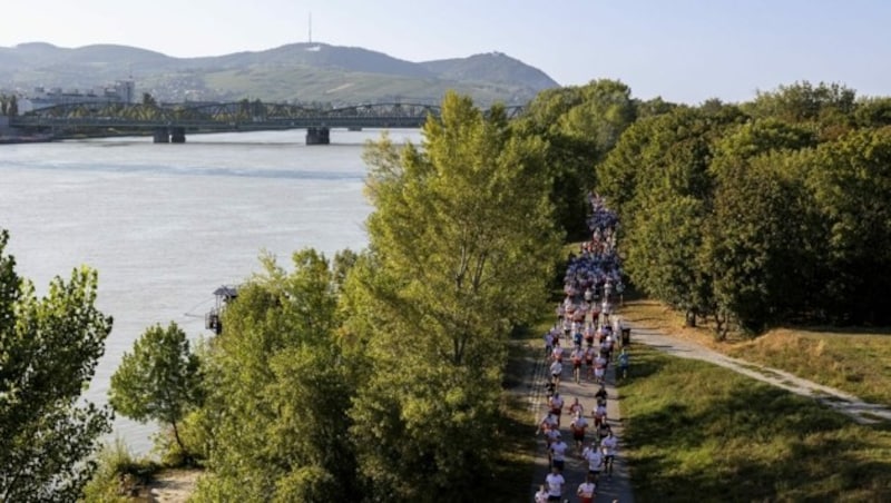 Auf der Wiener Donauinsel ist alles ganz genau berechnet. (Bild: Wien Energie Businessrun/www.martinsteiger.at)