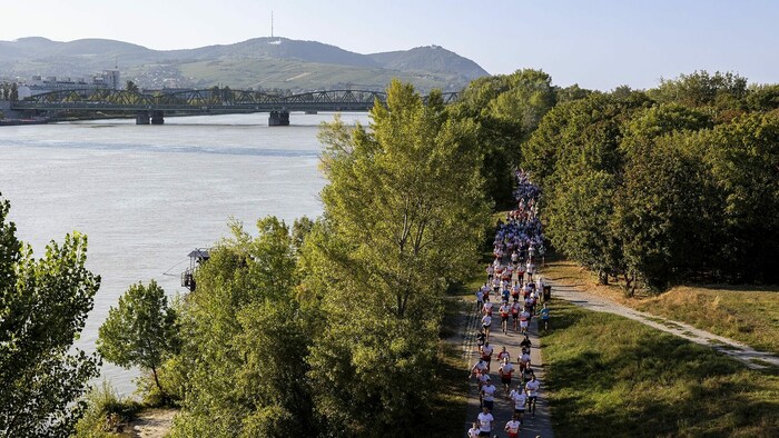 Auf der Wiener Donauinsel ist alles ganz genau berechnet.