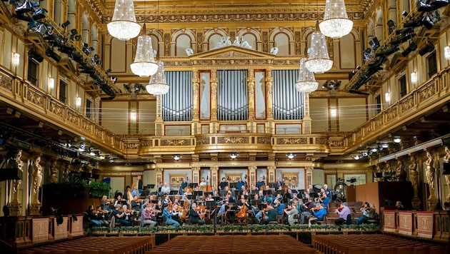 Weltberühmt: Das Konzert aus dem Goldenen Saal des Musikvereins. (Bild: GEORG HOCHMUTH / APA / picturedesk.com)